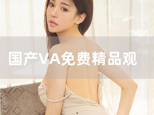 国产va在线视频